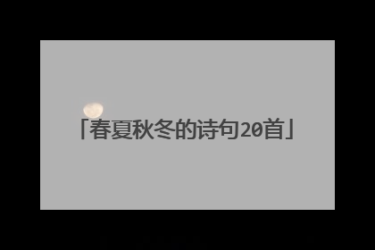 春夏秋冬的诗句20首