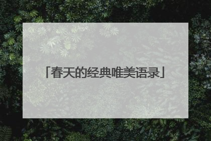 春天的经典唯美语录