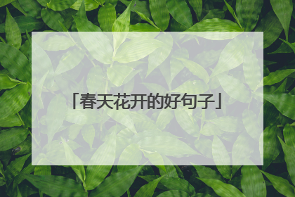 春天花开的好句子