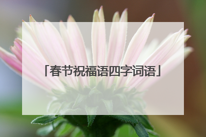 春节祝福语四字词语