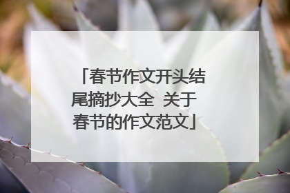 春节作文开头结尾摘抄大全 关于春节的作文范文