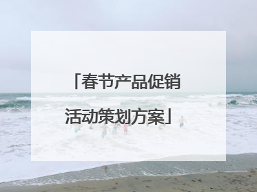 春节产品促销活动策划方案