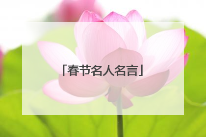 春节名人名言