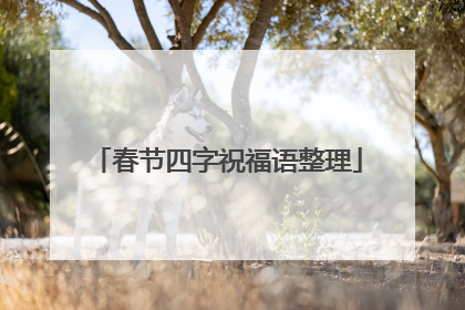 春节四字祝福语整理