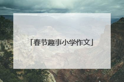 春节趣事小学作文
