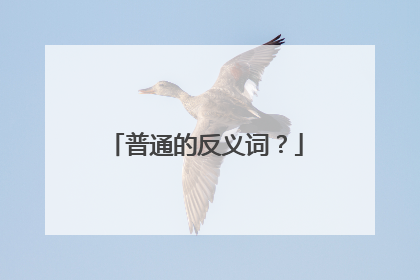 普通的反义词?