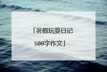 暑假玩耍日记500字作文