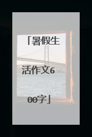 暑假生活作文600字