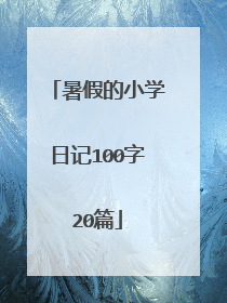暑假的小学日记100字20篇