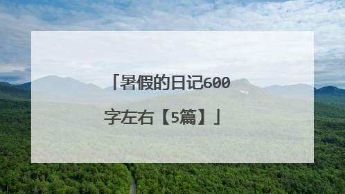 暑假的日记600字左右【5篇】