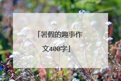 暑假的趣事作文400字