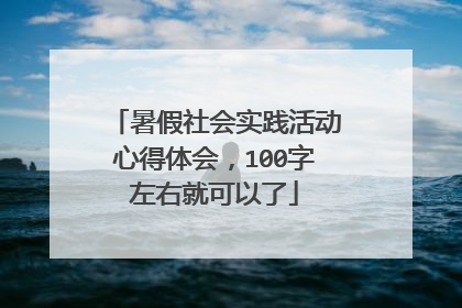 暑假社会实践活动心得体会,100字左右就可以了