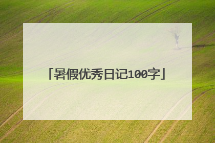 暑假优秀日记100字