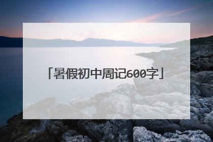 暑假初中周记600字