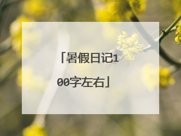 暑假日记100字左右