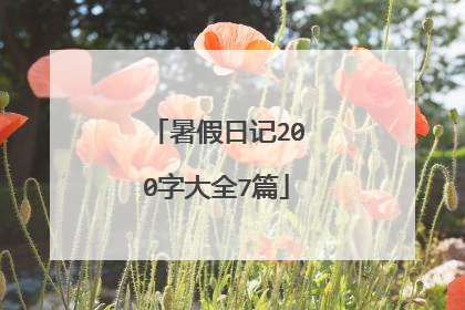 暑假日记200字大全7篇