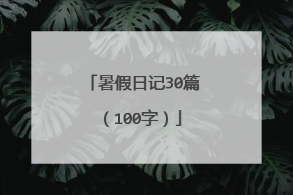 暑假日记30篇(100字)