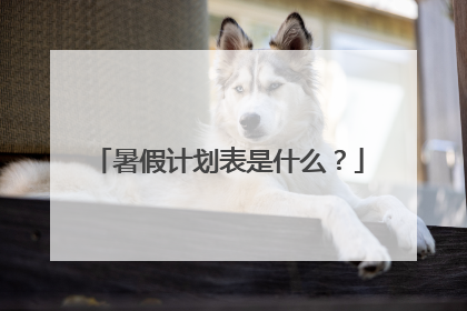 暑假计划表是什么?