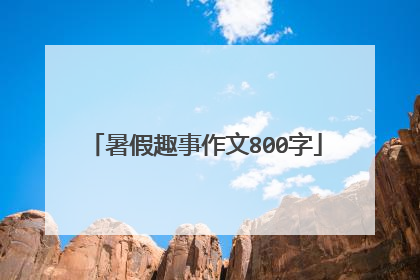 暑假趣事作文800字