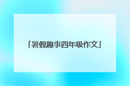 暑假趣事四年级作文