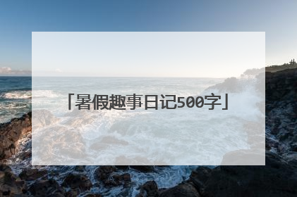 暑假趣事日记500字