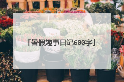 暑假趣事日记600字