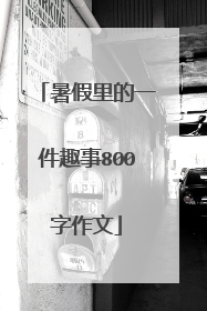 暑假里的一件趣事800字作文