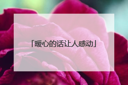 暖心的话让人感动