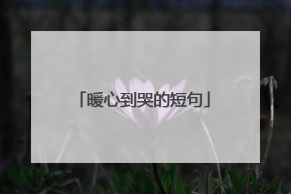 暖心到哭的短句