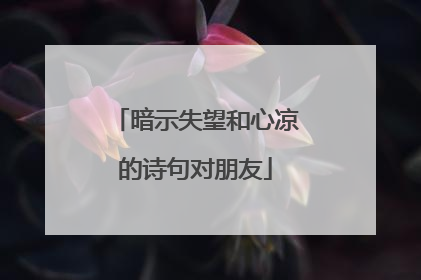 暗示失望和心凉的诗句对朋友