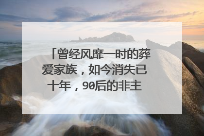 曾经风靡一时的葬爱家族，如今消失已十年，90后的非主流现在啥样了？