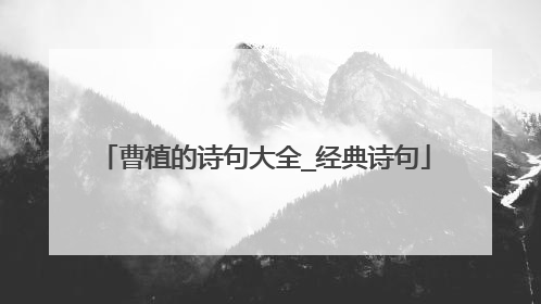 曹植的诗句大全_经典诗句