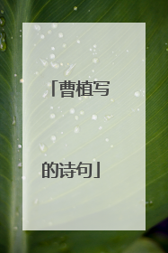 曹植写的诗句