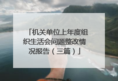 机关单位上年度组织生活会问题整改情况报告(三篇)