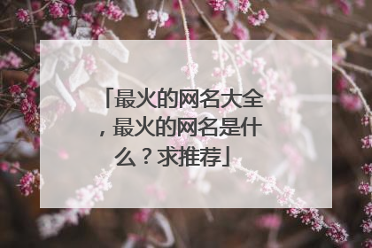 最火的网名大全,最火的网名是什么?求推荐