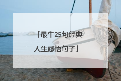 最牛25句经典人生感悟句子
