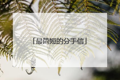 最简短的分手信
