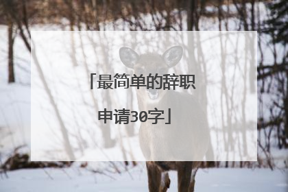 最简单的辞职申请30字