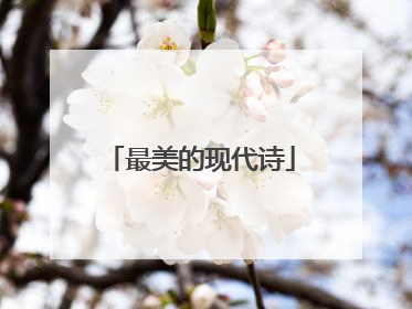 最美的现代诗
