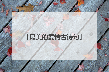 最美的爱情古诗句