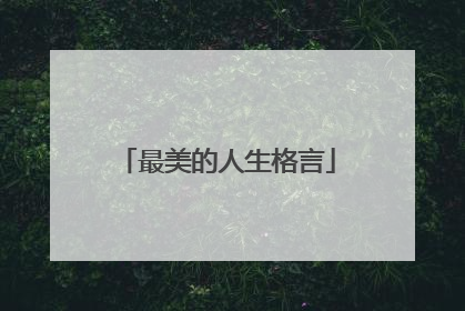 最美的人生格言