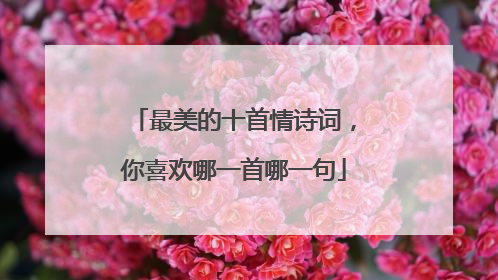最美的十首情诗词，你喜欢哪一首哪一句