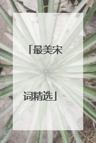 最美宋词精选