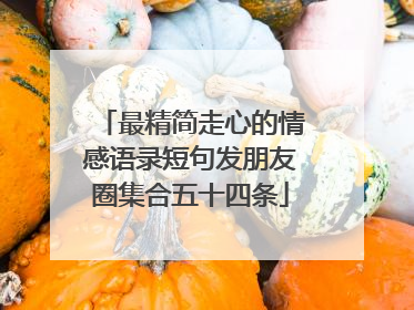 最精简走心的情感语录短句发朋友圈集合五十四条