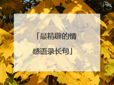 最精辟的情感语录长句