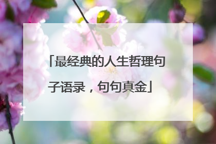 最经典的人生哲理句子语录，句句真金