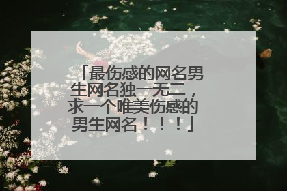 最伤感的网名男生网名独一无二，求一个唯美伤感的男生网名！！！