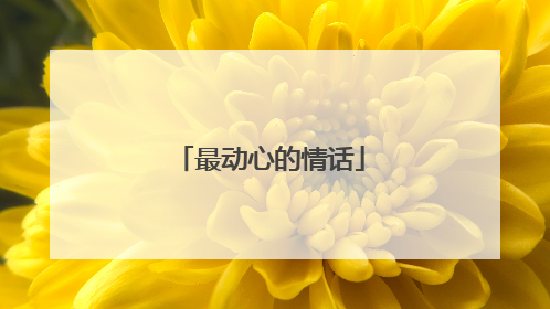 最动心的情话