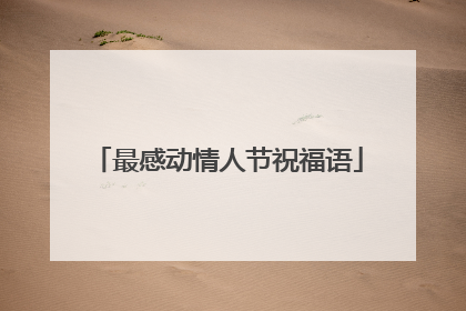 最感动情人节祝福语