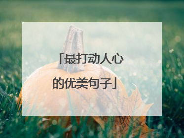 最打动人心的优美句子